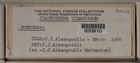 Image Associated With the Occurence